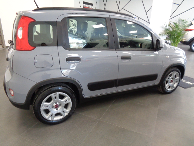 Fiat Panda 1.0 FireFly S&S Hybrid