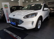 Ford Kuga 1.5 EcoBlue 120 CV aut. 2WD Titanium