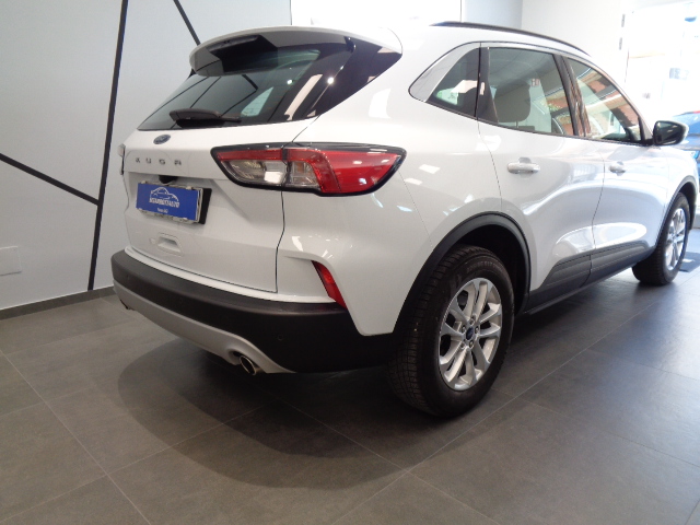 Ford Kuga 1.5 EcoBlue 120 CV aut. 2WD Titanium