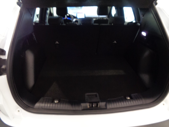 Ford Kuga 1.5 EcoBlue 120 CV aut. 2WD Titanium